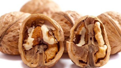allergia al nichel diagnosi e desensibilizzazione